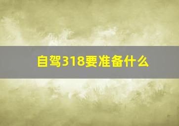 自驾318要准备什么