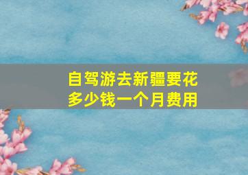 自驾游去新疆要花多少钱一个月费用