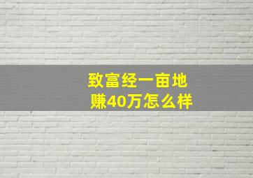 致富经一亩地赚40万怎么样