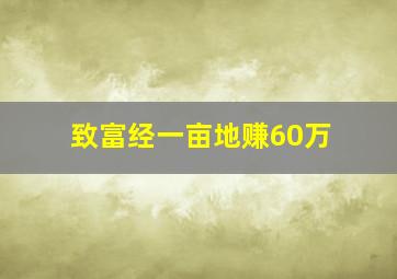 致富经一亩地赚60万