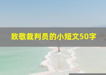 致敬裁判员的小短文50字