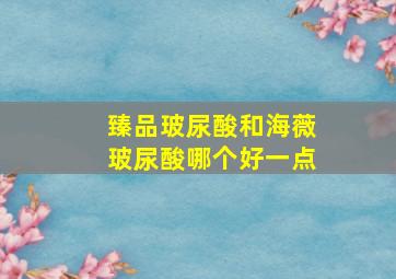 臻品玻尿酸和海薇玻尿酸哪个好一点