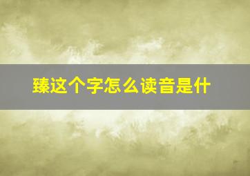 臻这个字怎么读音是什