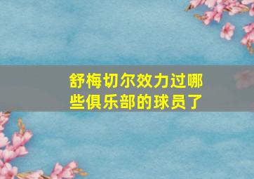 舒梅切尔效力过哪些俱乐部的球员了