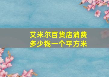 艾米尔百货店消费多少钱一个平方米