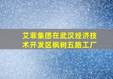 艾菲集团在武汉经济技术开发区枫树五路工厂