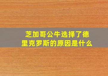 芝加哥公牛选择了德里克罗斯的原因是什么