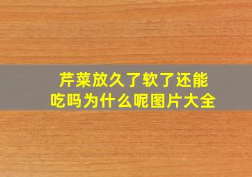 芹菜放久了软了还能吃吗为什么呢图片大全