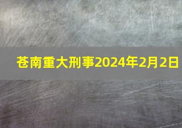 苍南重大刑事2024年2月2日