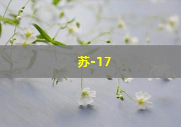 苏-17