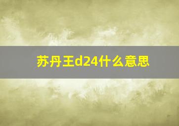 苏丹王d24什么意思