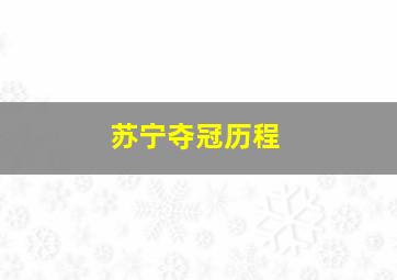 苏宁夺冠历程