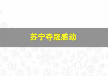 苏宁夺冠感动