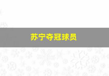 苏宁夺冠球员