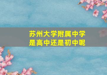 苏州大学附属中学是高中还是初中呢