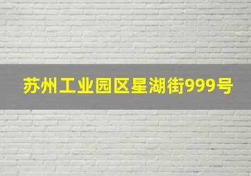 苏州工业园区星湖街999号