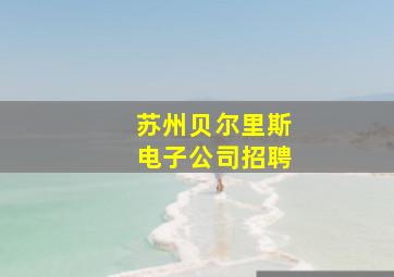 苏州贝尔里斯电子公司招聘