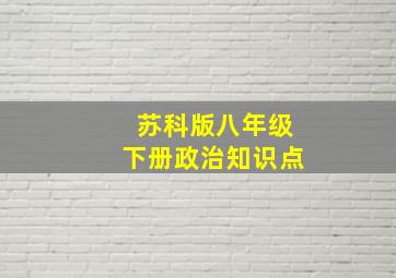 苏科版八年级下册政治知识点