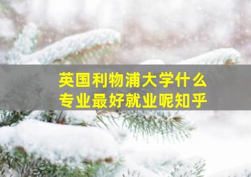 英国利物浦大学什么专业最好就业呢知乎