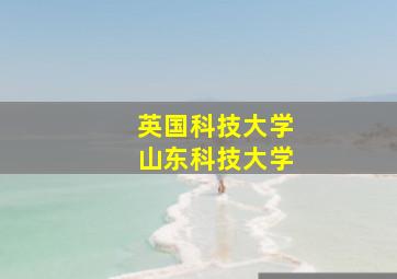 英国科技大学山东科技大学