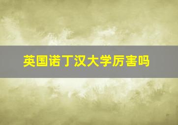 英国诺丁汉大学厉害吗