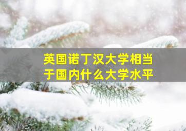 英国诺丁汉大学相当于国内什么大学水平