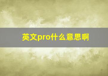 英文pro什么意思啊