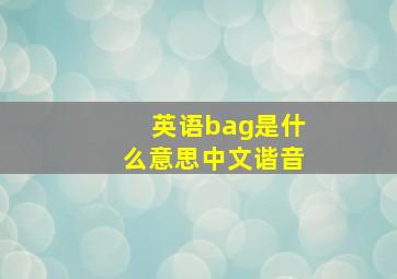 英语bag是什么意思中文谐音