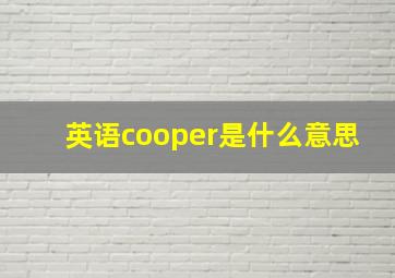 英语cooper是什么意思