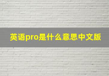 英语pro是什么意思中文版