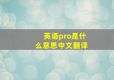 英语pro是什么意思中文翻译