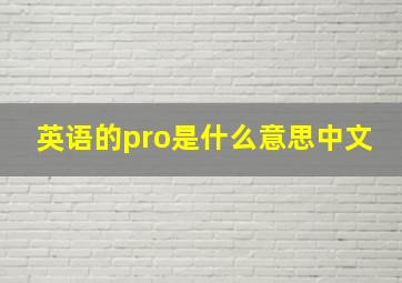 英语的pro是什么意思中文