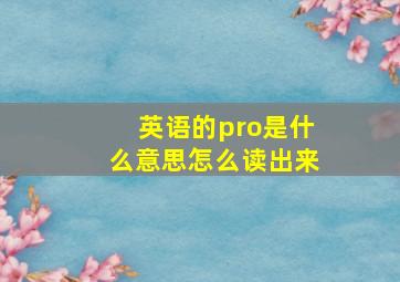 英语的pro是什么意思怎么读出来