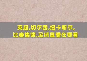 英超,切尔西,纽卡斯尔,比赛集锦,足球直播在哪看