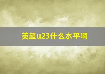 英超u23什么水平啊