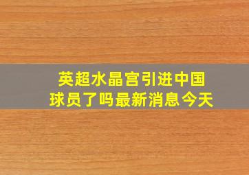 英超水晶宫引进中国球员了吗最新消息今天