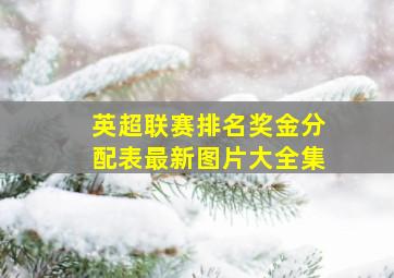 英超联赛排名奖金分配表最新图片大全集