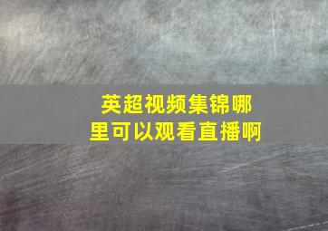 英超视频集锦哪里可以观看直播啊