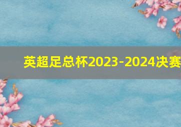 英超足总杯2023-2024决赛