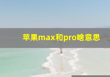 苹果max和pro啥意思