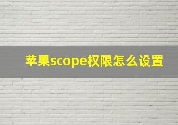 苹果scope权限怎么设置