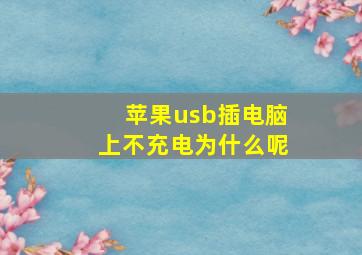 苹果usb插电脑上不充电为什么呢