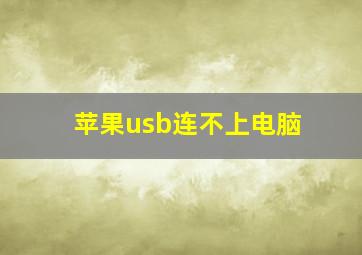 苹果usb连不上电脑