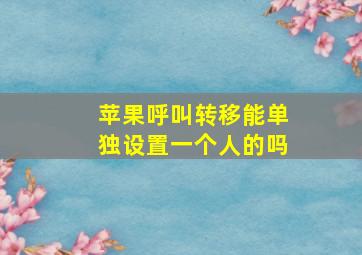 苹果呼叫转移能单独设置一个人的吗