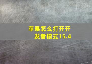 苹果怎么打开开发者模式15.4