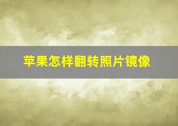 苹果怎样翻转照片镜像