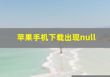 苹果手机下载出现null