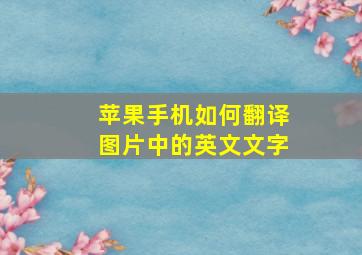 苹果手机如何翻译图片中的英文文字