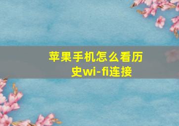 苹果手机怎么看历史wi-fi连接