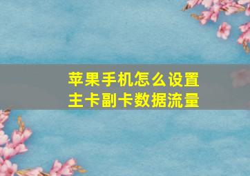 苹果手机怎么设置主卡副卡数据流量